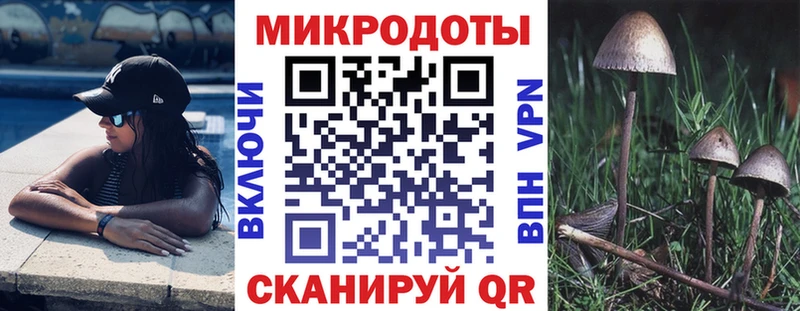 Псилоцибиновые грибы Psilocybe  Скопин 