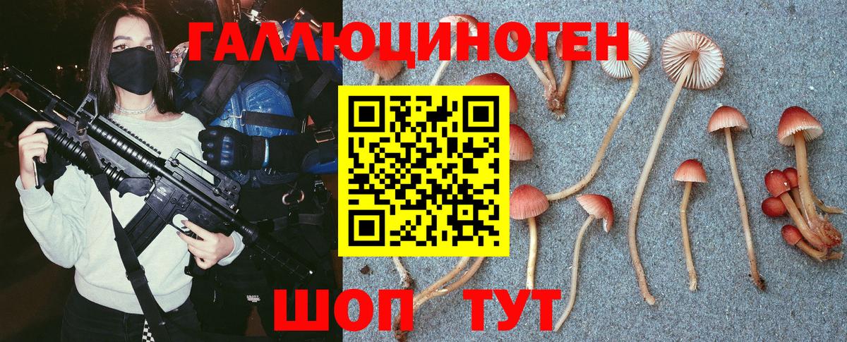 Псилоцибиновые грибы Cubensis  Вход с VPN  Скопин 